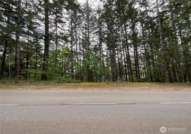 Photo 2 of Land for sale at 1 Xx N Colony Surf Dr, Lilliwaup, WA 98555 | MLS# NWM2518750 | Listing updated on 2026-09-17