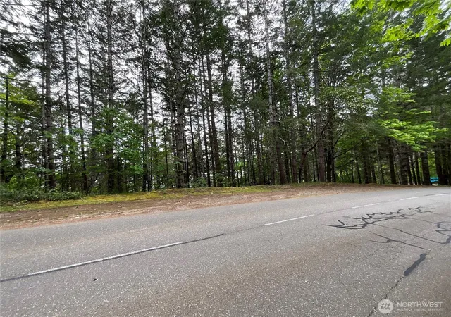 Photo 3 of Land for sale at 1 Xx N Colony Surf Dr, Lilliwaup, WA 98555 | MLS# NWM2518750 | Listing updated on 2026-09-17