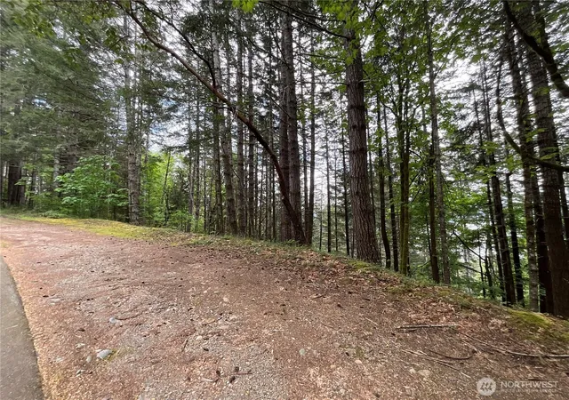 Photo 3 of Land for sale at 1 Xx N Colony Surf Dr, Lilliwaup, WA 98555 | MLS# NWM2518750 | Listing updated on 2026-09-17