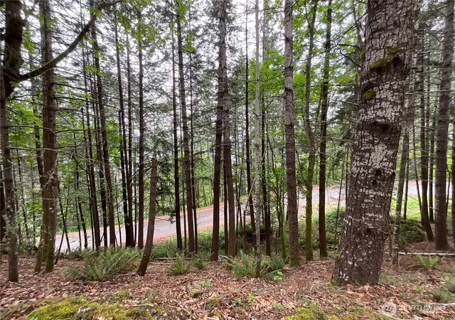 Photo 4 of Land for sale at 1 Xx N Colony Surf Dr, Lilliwaup, WA 98555 | MLS# NWM2518750 | Listing updated on 2026-09-17