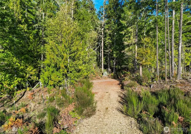 Photo 3 of Land for sale at 63 Wayne Rd W, Seabeck, WA 98380 | MLS# NWM2521716 | Listing updated on 2026-09-21