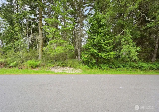 Photo 4 of Land for sale at 999 Blue Sky Dr, Port Townsend, WA 98368 | MLS# NWM2527985 | Listing updated on 2026-09-21