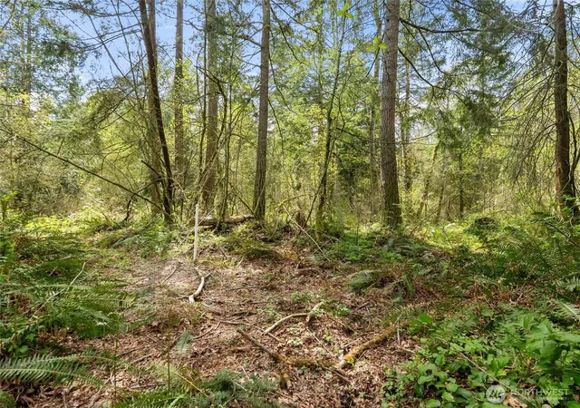 Photo 3 of Land for sale at 67 Xx 258th Ave NE, Redmond, WA 98053 | MLS# NWM2529212 | Listing updated on 2026-09-24