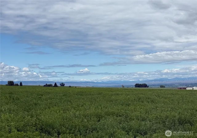Photo 3 of Land for sale at 11 Xx Borland Rd, Ellensburg, WA 98926 | MLS# NWM2529466 | Listing updated on 2026-09-21