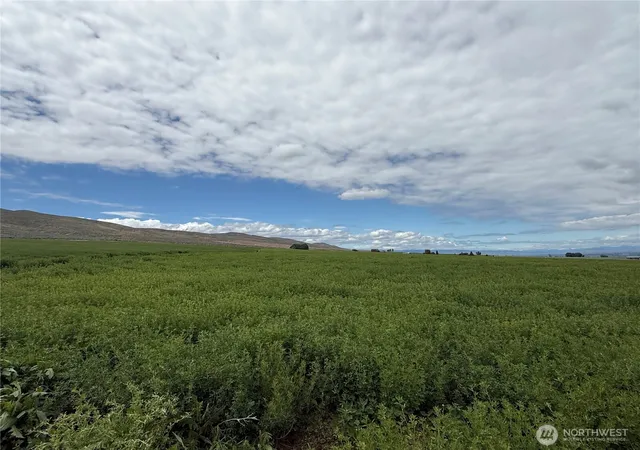 Photo 3 of Land for sale at 11 Xx Borland Rd, Ellensburg, WA 98926 | MLS# NWM2529466 | Listing updated on 2026-09-21
