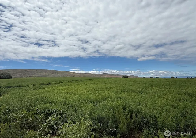 Photo 4 of Land for sale at 11 Xx Borland Rd, Ellensburg, WA 98926 | MLS# NWM2529466 | Listing updated on 2026-09-21