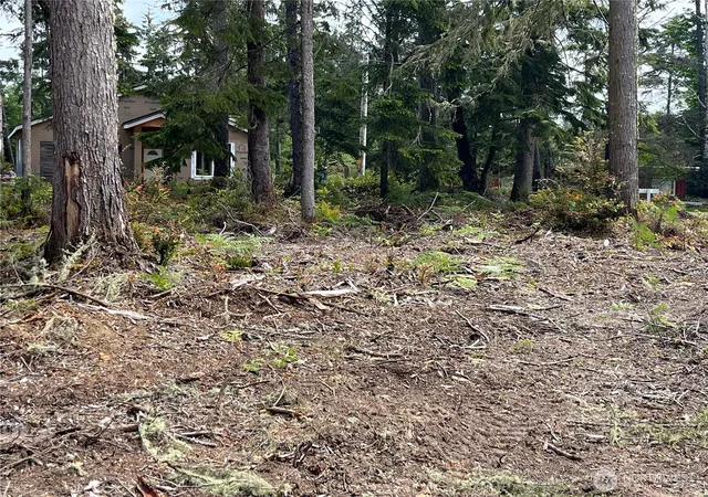 Photo 4 of Land for sale at 27706 V St, Ocean Park, WA 98640 | MLS# NWM2530449 | Listing updated on 2026-09-23