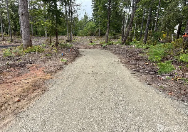 Photo 3 of Land for sale at 27708 V St, Ocean Park, WA 98640 | MLS# NWM2530531 | Listing updated on 2026-09-21