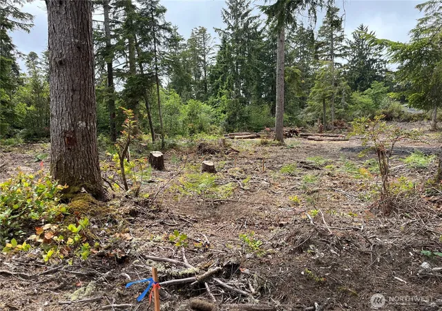 Photo 4 of Land for sale at 27708 V St, Ocean Park, WA 98640 | MLS# NWM2530531 | Listing updated on 2026-09-21