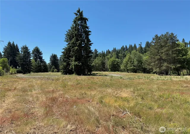 Photo 3 of Land for sale at 102 Mocha Ln, Centralia, WA 98531 | MLS# NWM2530861 | Listing updated on 2026-09-21