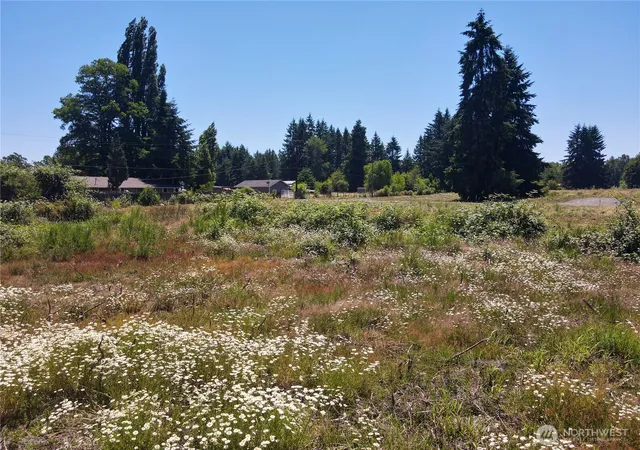 Photo 4 of Land for sale at 102 Mocha Ln, Centralia, WA 98531 | MLS# NWM2530861 | Listing updated on 2026-09-21