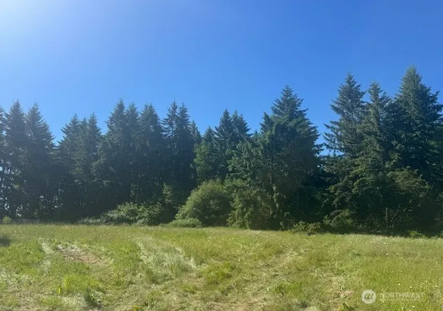 Photo 1 of Land for sale at 692 24 Burchett Rd, Onalaska, WA 98570 | MLS# NWM2532837 | Listing updated on 2026-09-21