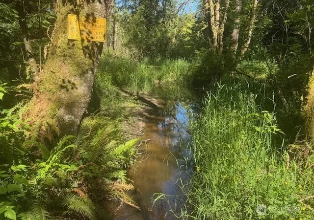 Photo 3 of Land for sale at 692 24 Burchett Rd, Onalaska, WA 98570 | MLS# NWM2532837 | Listing updated on 2026-09-21