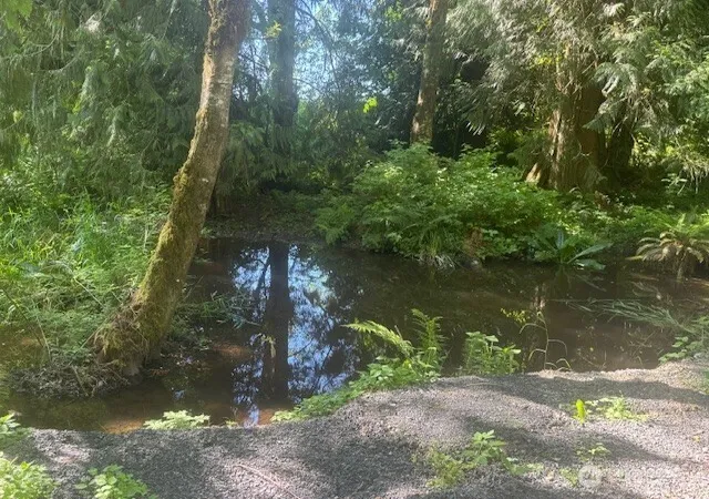 Photo 3 of Land for sale at 692 24 Burchett Rd, Onalaska, WA 98570 | MLS# NWM2532837 | Listing updated on 2026-09-21