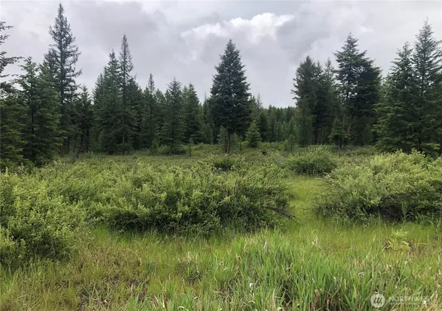 Photo 1 of Land for sale at 36 Corral Dr, Oroville, WA 98844 | MLS# NWM2536458 | Listing updated on 2026-09-21