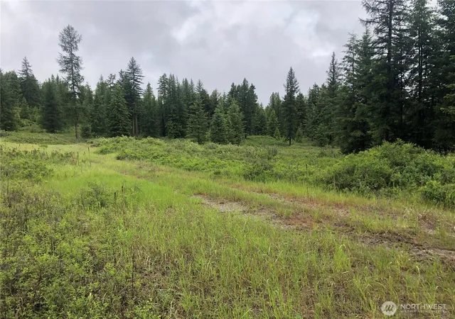 Photo 2 of Land for sale at 36 Corral Dr, Oroville, WA 98844 | MLS# NWM2536458 | Listing updated on 2026-09-21