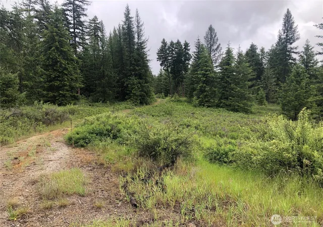 Photo 3 of Land for sale at 36 Corral Dr, Oroville, WA 98844 | MLS# NWM2536458 | Listing updated on 2026-09-21