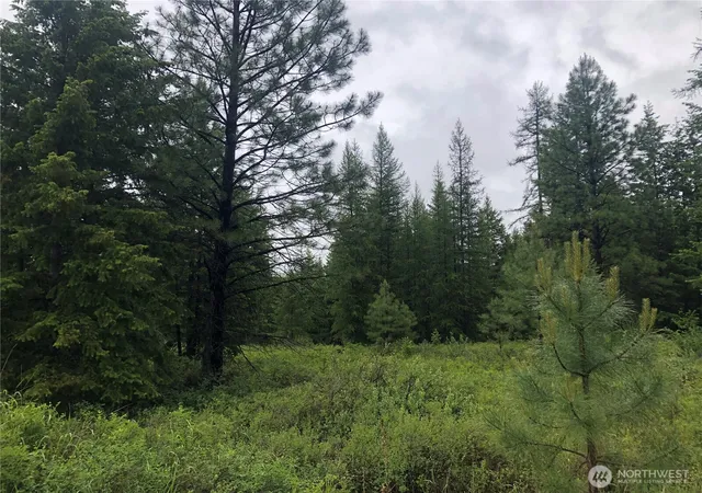 Photo 3 of Land for sale at 36 Corral Dr, Oroville, WA 98844 | MLS# NWM2536458 | Listing updated on 2026-09-21