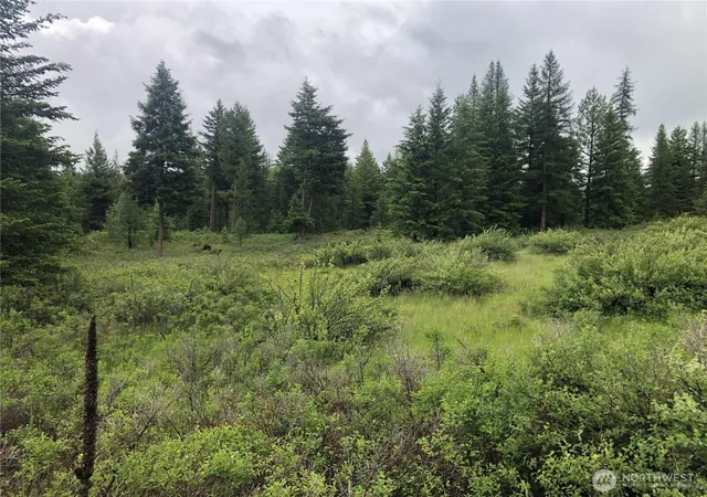 Photo 4 of Land for sale at 36 Corral Dr, Oroville, WA 98844 | MLS# NWM2536458 | Listing updated on 2026-09-21