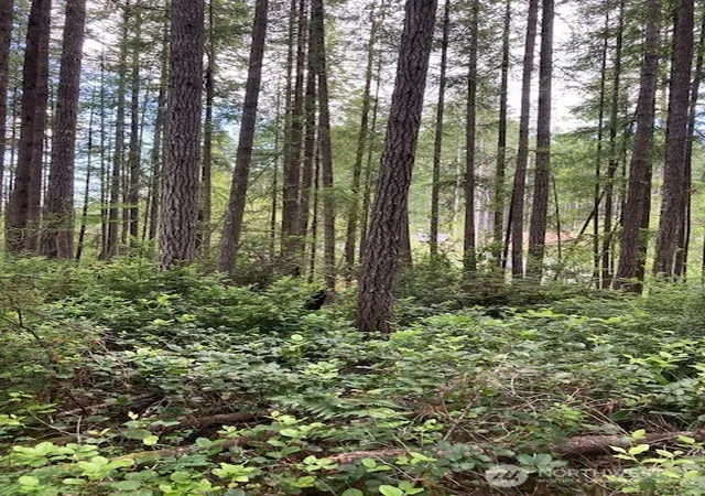 Photo 3 of Sale Pending at 9920 Fairview Lake Rd SW, Port Orchard, WA 98367 | MLS# NWM2536558 | Listing updated on 2026-09-29