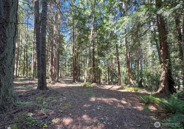 Photo 1 of Sale Pending at 9999 N Bagley Crk Rd, Port Angeles, WA 98362 | MLS# NWM2539892 | Listing updated on 2026-09-14