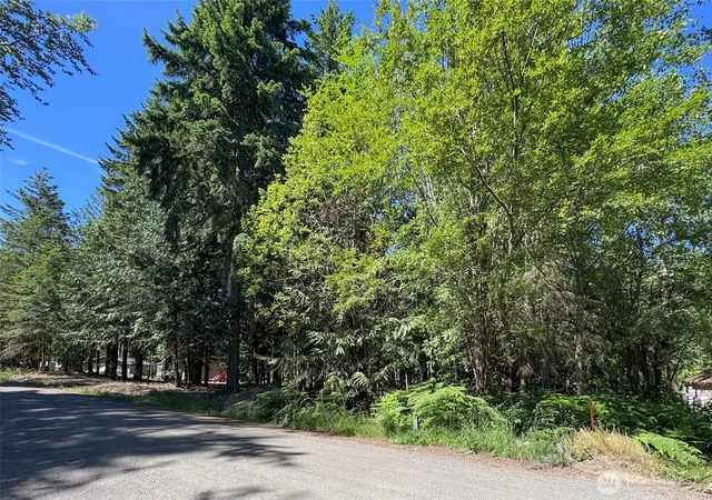 Photo 3 of Sale Pending at 9999 N Bagley Crk Rd, Port Angeles, WA 98362 | MLS# NWM2539892 | Listing updated on 2026-09-14