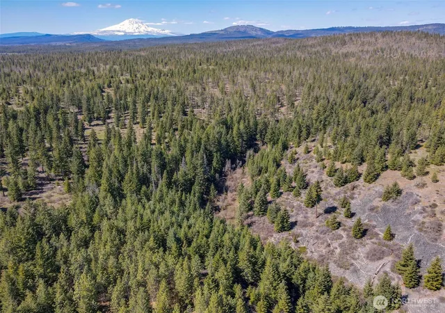 Photo 1 of Land for sale at 10 Piper Ln, Goldendale, WA 98620 | MLS# NWM2540323 | Listing updated on 2026-09-22