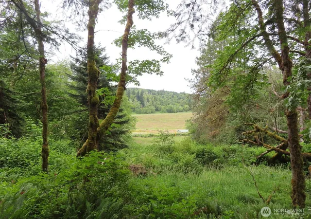 Photo 1 of Land for sale at 21720 Zenkner Valley Rd Sw, Centralia, WA 98531 | MLS# NWM2541608 | Listing updated on 2026-09-22
