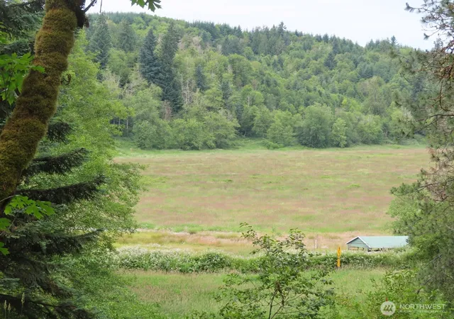 Photo 2 of Land for sale at 21720 Zenkner Valley Rd Sw, Centralia, WA 98531 | MLS# NWM2541608 | Listing updated on 2026-09-22