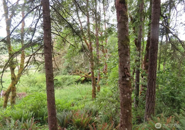 Photo 3 of Land for sale at 21720 Zenkner Valley Rd Sw, Centralia, WA 98531 | MLS# NWM2541608 | Listing updated on 2026-09-22