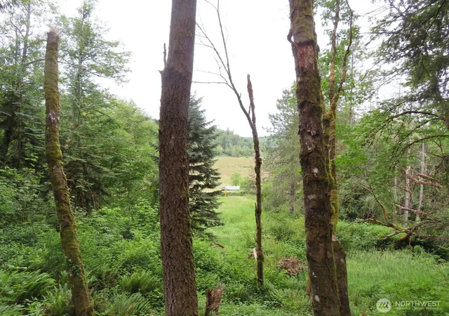 Photo 3 of Land for sale at 21720 Zenkner Valley Rd SW, Centralia, WA 98531 | MLS# NWM2541608 | Listing updated on 2026-09-22