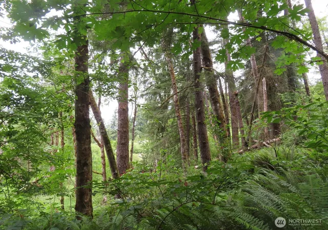 Photo 4 of Land for sale at 21720 Zenkner Valley Rd SW, Centralia, WA 98531 | MLS# NWM2541608 | Listing updated on 2026-09-22