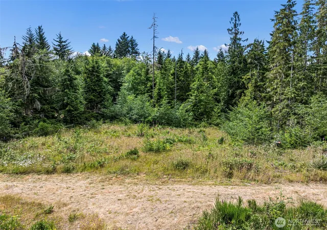 Photo 3 of Land for sale at 1 Andy Rogers Pl NW, Seabeck, WA 98380 | MLS# NWM2542336 | Listing updated on 2026-09-24