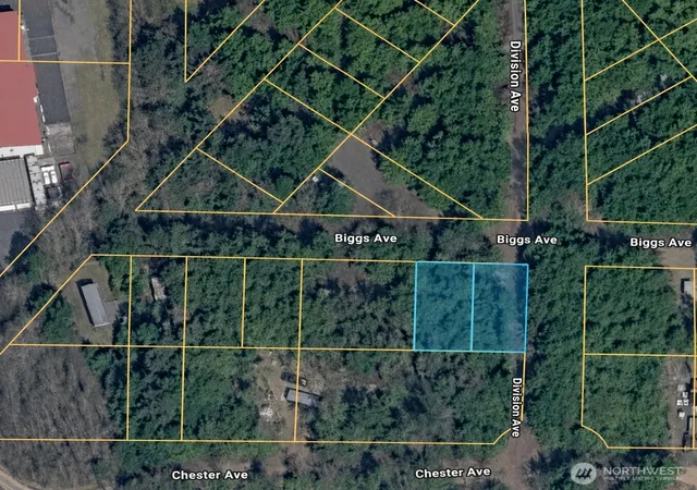 Photo 2 of Land for sale at 8 Biggs Ave, Pacific Beach, WA 98571 | MLS# NWM2542657 | Listing updated on 2026-09-22