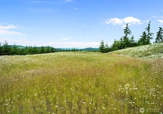 Photo 1 of Land for sale at 104 Bootjack Ln, Kelso, WA 98626 | MLS# NWM2542729 | Listing updated on 2026-09-22