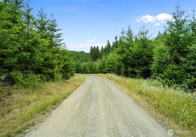 Photo 3 of Land for sale at 104 Bootjack Ln, Kelso, WA 98626 | MLS# NWM2542729 | Listing updated on 2026-09-22