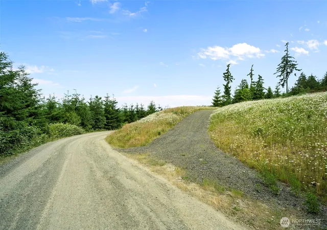 Photo 4 of Land for sale at 104 Bootjack Ln, Kelso, WA 98626 | MLS# NWM2542729 | Listing updated on 2026-09-22