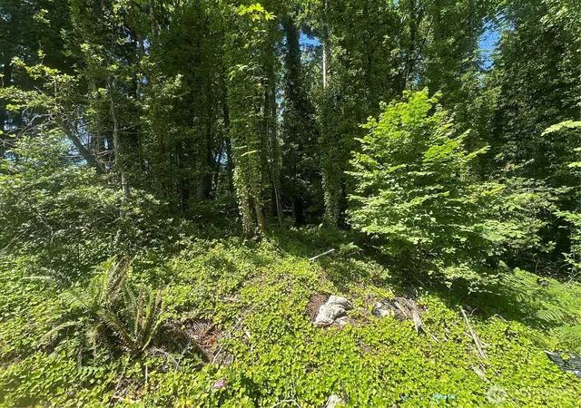 Photo 1 of Land for sale at 0 W Harvard Ave, Shelton, WA 98584 | MLS# NWM2543006 | Listing updated on 2026-09-22