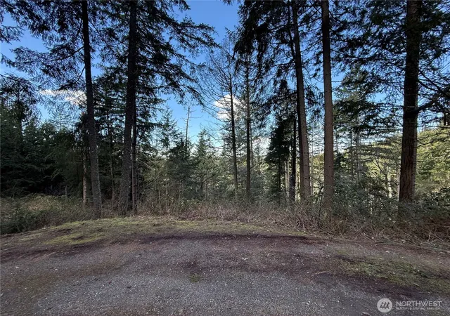 Photo 3 of Land for sale at 1546 Reservation Rd SE #124, Olympia, WA 98513 | MLS# NWM2543025 | Listing updated on 2026-09-22