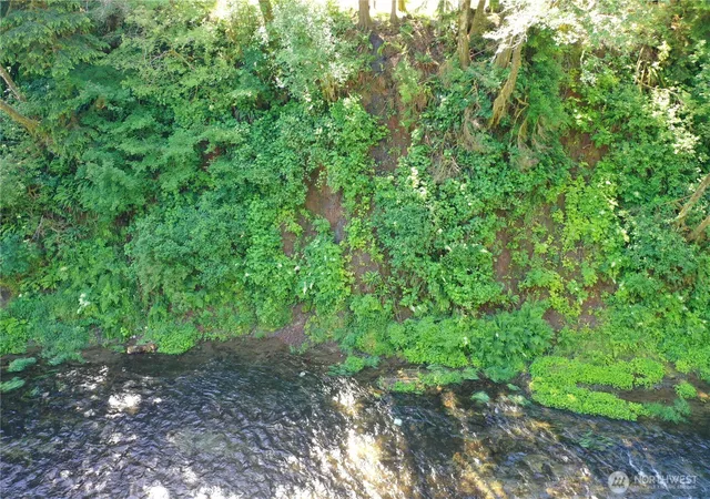 Photo 3 of Single family home for sale at 553 Upper Naselle Rd, Naselle, WA 98638 | MLS# NWM2543098 | Listing updated on 2026-09-21