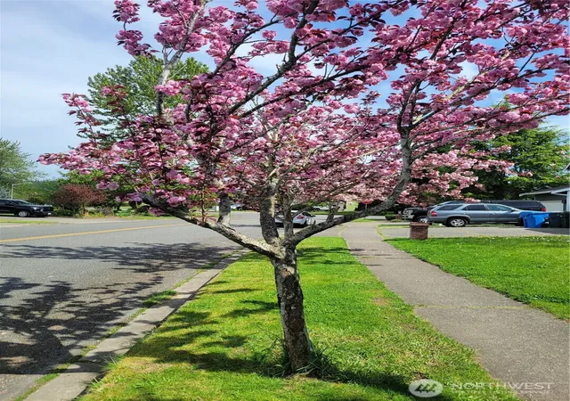 Photo 3 of Single family home for sale at 506 Skinner Way SW, Orting, WA 98360 | MLS# NWM2543453 | Listing updated on 2026-09-23