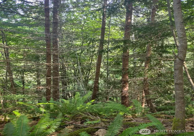 Photo 3 of Land for sale at 0 Hansen Rd, Port Angeles, WA 98363 | MLS# NWM2544665 | Listing updated on 2026-09-30