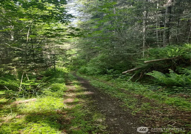 Photo 4 of Land for sale at 0 Hansen Rd, Port Angeles, WA 98363 | MLS# NWM2544665 | Listing updated on 2026-09-30