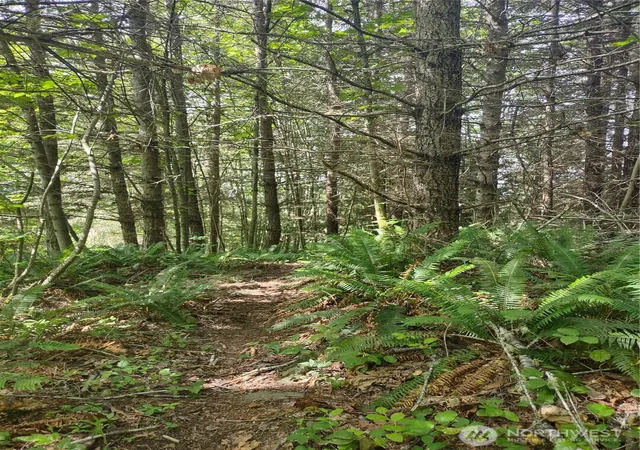 Photo 2 of Land for sale at 0 Hansen Rd, Port Angeles, WA 98363 | MLS# NWM2544665 | Listing updated on 2026-09-30
