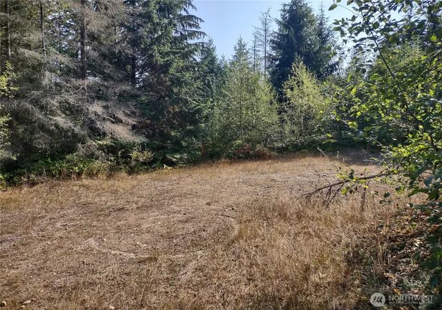 Photo 1 of Land for sale at 0 Blue Valley Rd, Port Angeles, WA 98362 | MLS# NWM2544678 | Listing updated on 2026-09-22