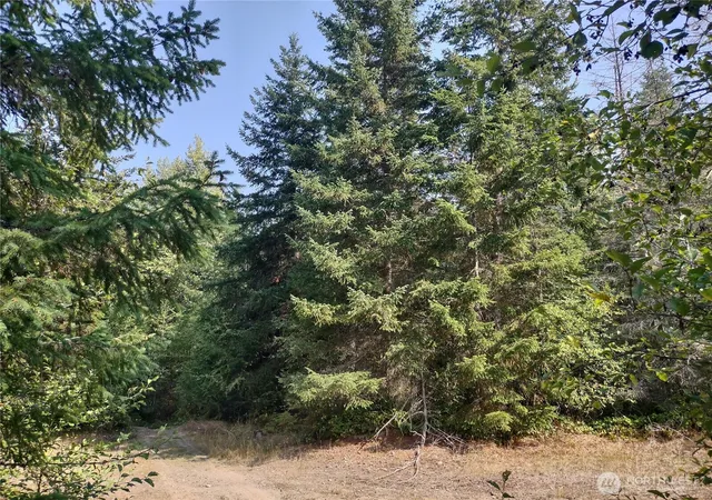 Photo 2 of Land for sale at 0 Blue Valley Rd, Port Angeles, WA 98362 | MLS# NWM2544678 | Listing updated on 2026-09-22