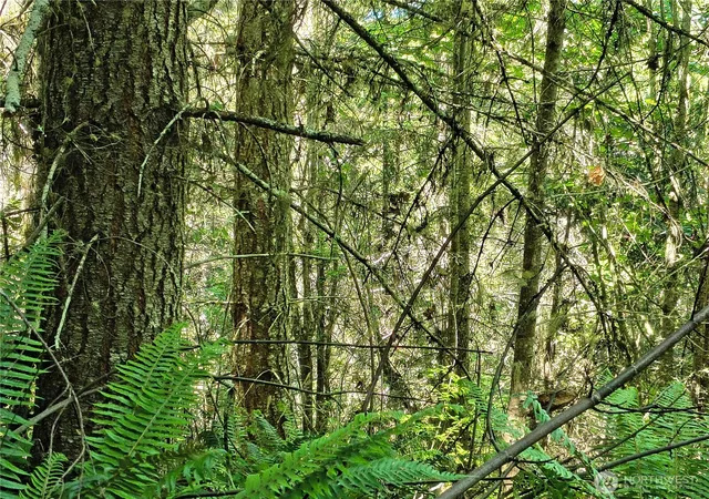 Photo 3 of Land for sale at 0 Blue Valley Rd, Port Angeles, WA 98362 | MLS# NWM2544678 | Listing updated on 2026-09-22