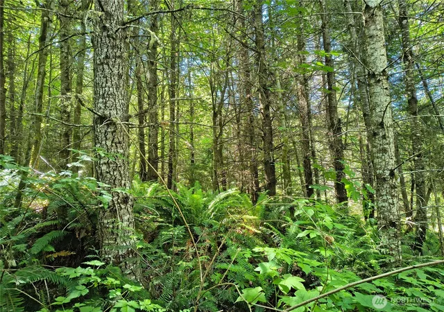 Photo 3 of Land for sale at 0 Blue Valley Rd, Port Angeles, WA 98362 | MLS# NWM2544678 | Listing updated on 2026-09-22