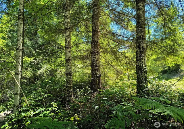 Photo 4 of Land for sale at 0 Blue Valley Rd, Port Angeles, WA 98362 | MLS# NWM2544678 | Listing updated on 2026-09-22