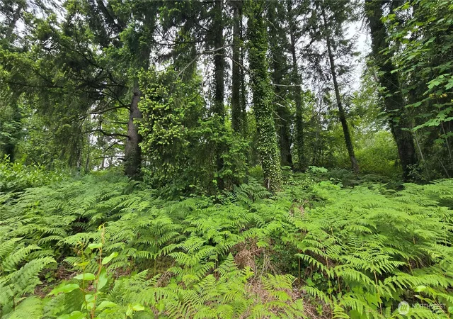 Photo 3 of Land for sale at 27339 Se 403rd (lots 39,47,48,49) St, Enumclaw, WA 98022 | MLS# NWM2544770 | Listing updated on 2026-09-22